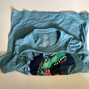 Boys Dinosaur shirt